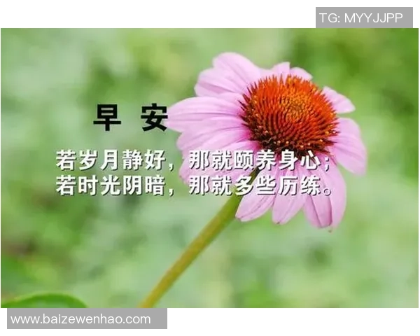 足球语录图片分享：激励你追逐梦想的经典语句与精彩瞬间